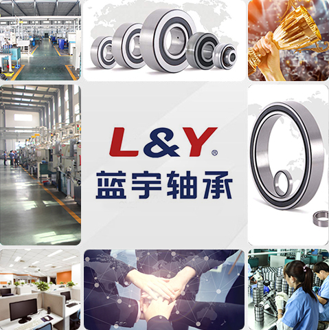 藍(lán)宇精密軸承 藍(lán)宇精密軸承